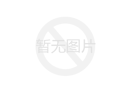 异形冲孔网